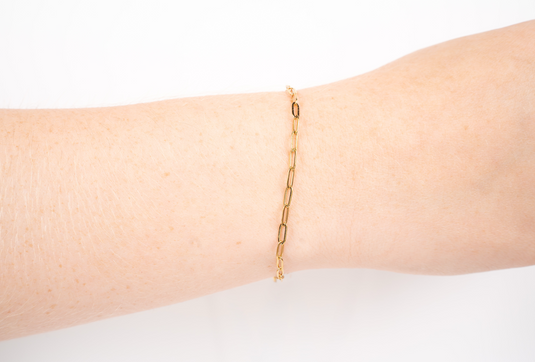 Monica - 18K Gold PVD Stainless Steel (Yellow)